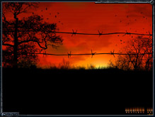 1280x1024, 177kb