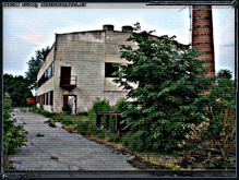 1153x768, 238 kb