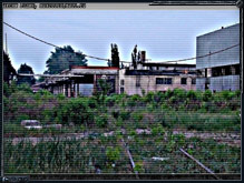 1153x768, 243 kb