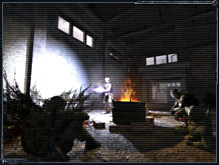 Stalkers at halt
